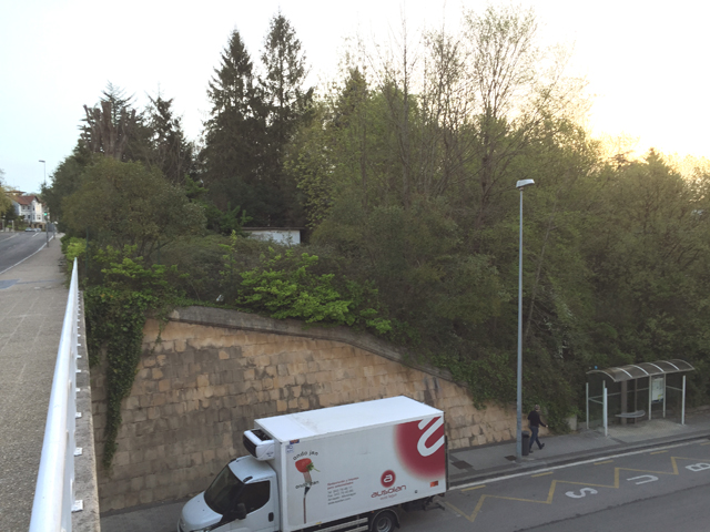 Parcela en la que est&aacute; previsto que vaya el ambulatorio